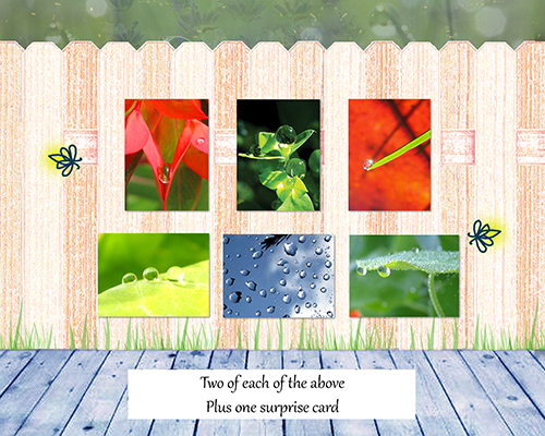 Dew Drops I Greeting Card Collection by The Poetry of Nature. Peaceful, beautiful water drop note cards, cards with poems, set of 12